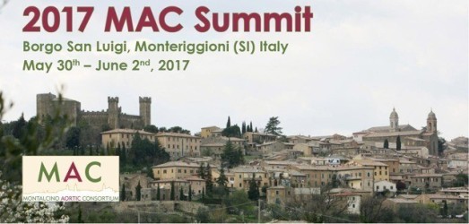 MAC Summit 2017